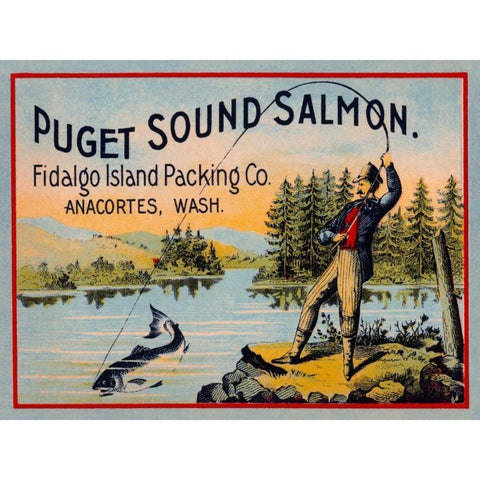 Puget Sound Salmon - On the Fly Black Modern Wood Framed Art Print with Double Matting by Retrolabel