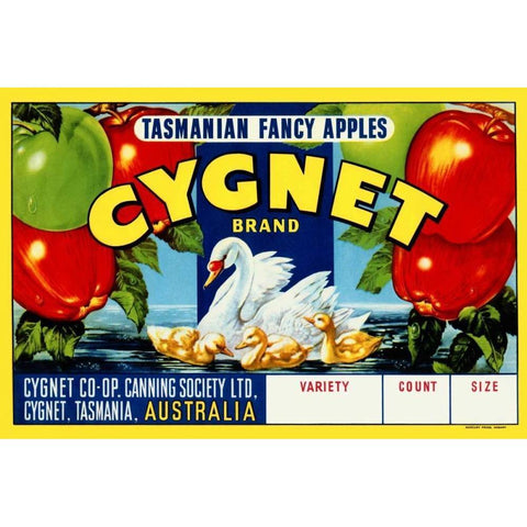 Cygnet Tasmanian Fancy Apples Gold Ornate Wood Framed Art Print with Double Matting by Retrolabel