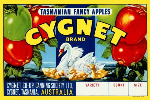 Cygnet Tasmanian Fancy Apples Black Ornate Wood Framed Art Print with Double Matting by Retrolabel