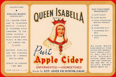 Queen Isabella Pure Apple Cider White Modern Wood Framed Art Print with Double Matting by Retrolabel