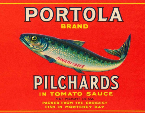 Portola Brand Pilchards White Modern Wood Framed Art Print with Double Matting by Retrolabel