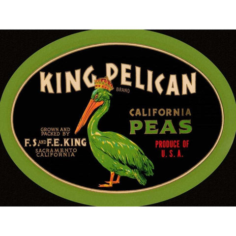 King Pelican California Peas Black Modern Wood Framed Art Print by Retrolabel