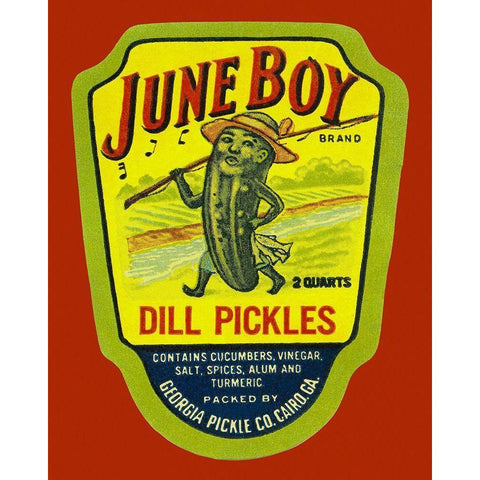 June Boy Dill Pickles Black Modern Wood Framed Art Print with Double Matting by Retrolabel