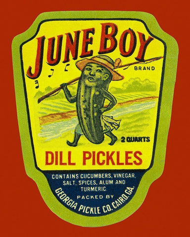 June Boy Dill Pickles White Modern Wood Framed Art Print with Double Matting by Retrolabel