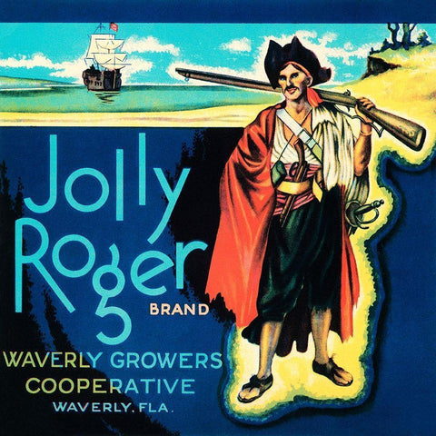 Jolly Roger Brand White Modern Wood Framed Art Print with Double Matting by Retrolabel