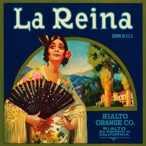 La Reina Black Modern Wood Framed Art Print by Retrolabel