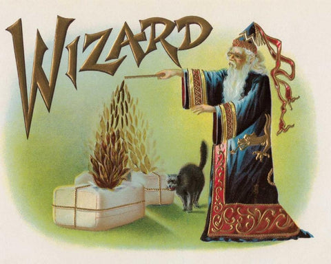 Wizard Black Ornate Wood Framed Art Print with Double Matting by Halloween