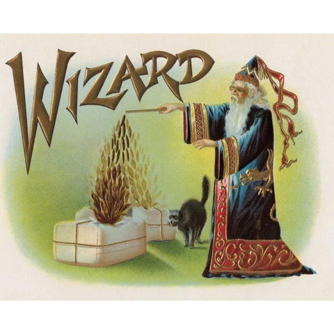 Wizard Black Modern Wood Framed Art Print with Double Matting by Halloween