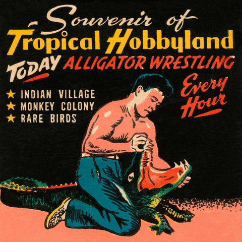 Tropical Hobbyland - Alligator Wrestling Black Modern Wood Framed Art Print by Retrotravel