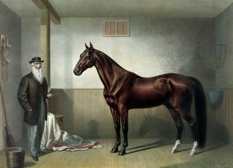 Rysdyks Hambletonian White Modern Wood Framed Art Print with Double Matting by Currier and Ives