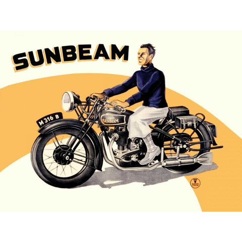 Sunbeam Black Modern Wood Framed Art Print with Double Matting by Unknown
