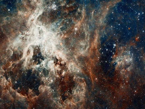 Tarantula Nebula - Compressed Version Black Ornate Wood Framed Art Print with Double Matting by NASA