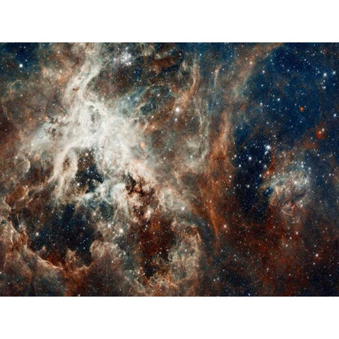 Tarantula Nebula - Compressed Version Gold Ornate Wood Framed Art Print with Double Matting by NASA