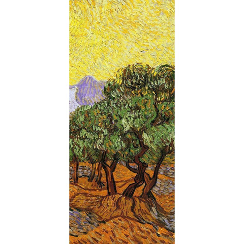 Olive Trees With Yellow Sky And Sun (right) Black Modern Wood Framed Art Print with Double Matting by Van Gogh, Vincent