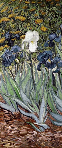 Irises - left White Modern Wood Framed Art Print with Double Matting by Van Gogh, Vincent