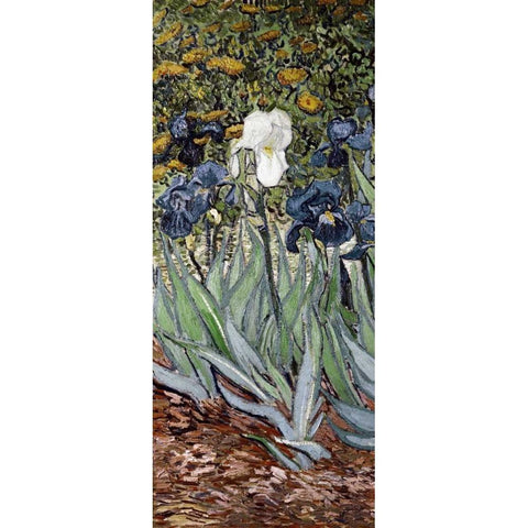 Irises - left Gold Ornate Wood Framed Art Print with Double Matting by Van Gogh, Vincent