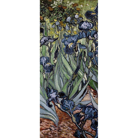 Irises (center) Black Modern Wood Framed Art Print by Van Gogh, Vincent