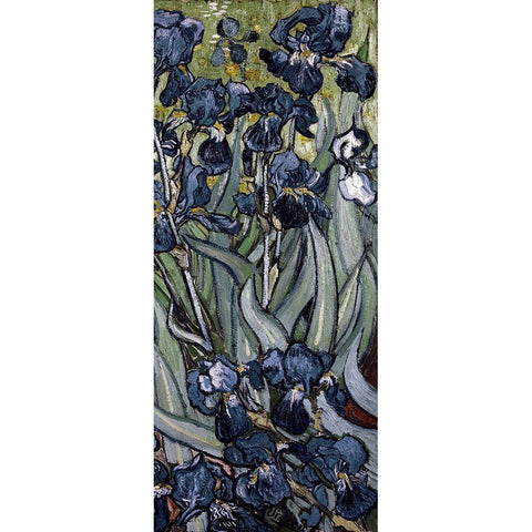 Irises (right) Gold Ornate Wood Framed Art Print with Double Matting by Van Gogh, Vincent