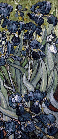 Irises (right) Black Ornate Wood Framed Art Print with Double Matting by Van Gogh, Vincent