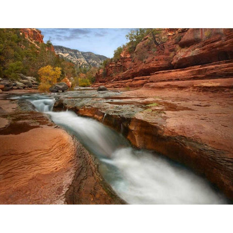 Oak Creek in Slide Rock State Park near Sedona, Arizona Gold Ornate Wood Framed Art Print with Double Matting by Fitzharris, Tim