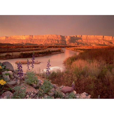 Sierra Ponce and Rio Grande, Big Bend National Park, Texas Gold Ornate Wood Framed Art Print with Double Matting by Fitzharris, Tim