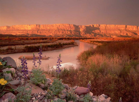 Sierra Ponce and Rio Grande, Big Bend National Park, Texas White Modern Wood Framed Art Print with Double Matting by Fitzharris, Tim