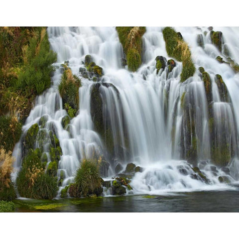 Waterfall, Niagara Springs, Thousand Springs State Park, Idaho. White Modern Wood Framed Art Print by Fitzharris, Tim