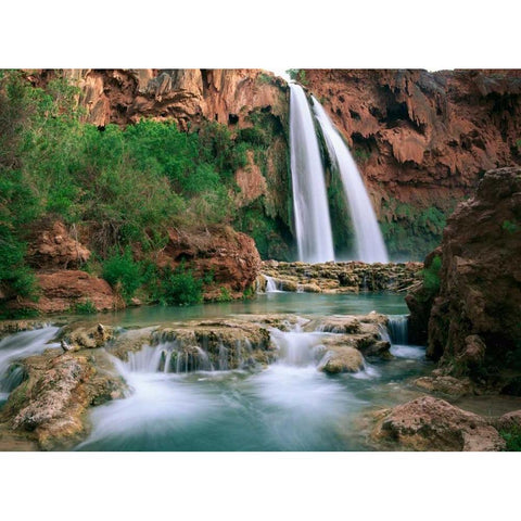 Havasu Creek, lined with Cottonwood trees, Havasu Falls, Grand Canyon, Arizona Gold Ornate Wood Framed Art Print with Double Matting by Fitzharris, Tim