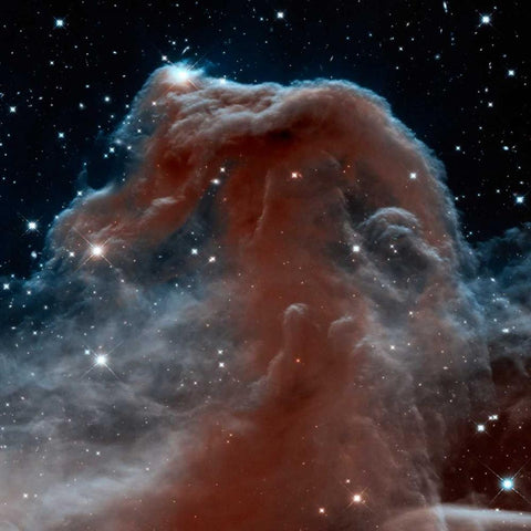 Horsehead Nebula, Infrared View Black Ornate Wood Framed Art Print with Double Matting by NASA