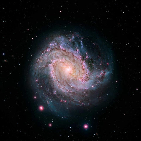 M83 - Spiral Galaxy - Hubble-Magellan Composite Black Ornate Wood Framed Art Print with Double Matting by NASA