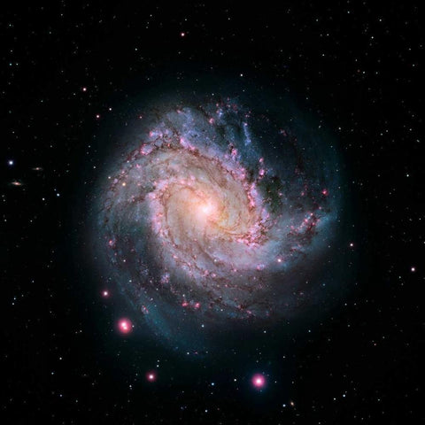 M83 - Spiral Galaxy - Hubble-Magellan Composite Black Modern Wood Framed Art Print with Double Matting by NASA