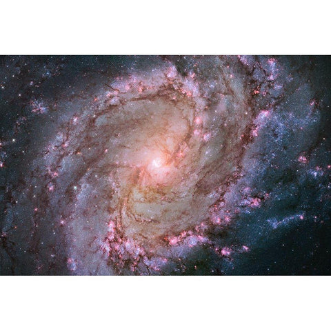 M83 - Spiral Galaxy Gold Ornate Wood Framed Art Print with Double Matting by NASA