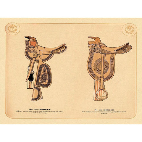 Saddles and Tack: Morgan Saddles #1 Gold Ornate Wood Framed Art Print with Double Matting by Unknown