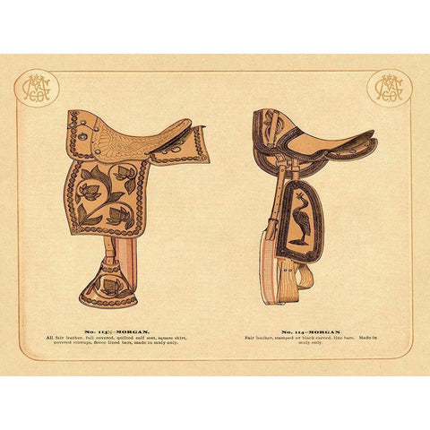 Saddles and Tack: Morgan Saddles #2 White Modern Wood Framed Art Print by Unknown