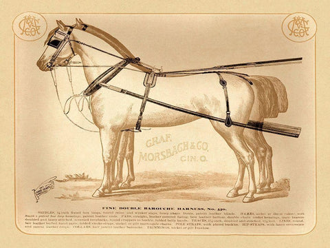 Saddles and Tack: Fine Double Barouche Harness Black Ornate Wood Framed Art Print with Double Matting by Unknown