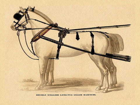 Saddles and Tack: Double English Long-Tug Coach,Sport,Competition,Sports,Play,win,score Harness White Modern Wood Framed Art Print with Double Matting by Unknown