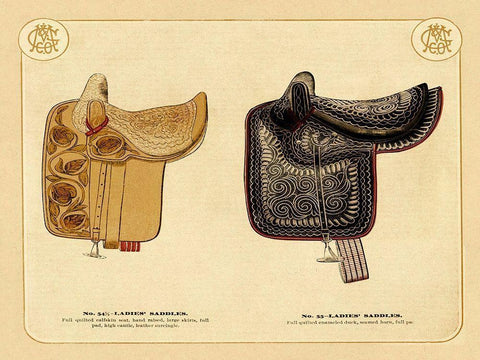Saddles and Tack: Ladies Saddles #3 Black Ornate Wood Framed Art Print with Double Matting by Unknown