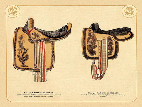 Saddles and Tack: Ladies Saddles #4 Black Ornate Wood Framed Art Print with Double Matting by Unknown