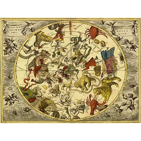 Maps of the Heavens: Planisphaerium Stellatum Boreale White Modern Wood Framed Art Print by Cellarius, Andreas