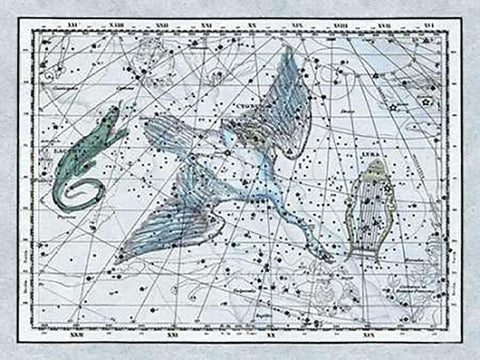 Maps of the Heavens: The Swan in the Milkyway White Modern Wood Framed Art Print with Double Matting by Jamieson, Alexander