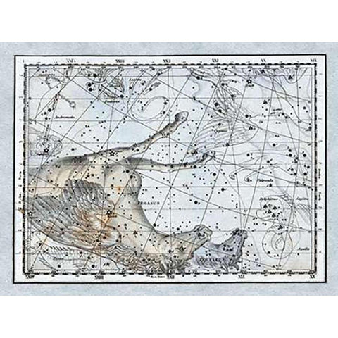 Maps of the Heavens: Pegasus the Horse White Modern Wood Framed Art Print by Jamieson, Alexander