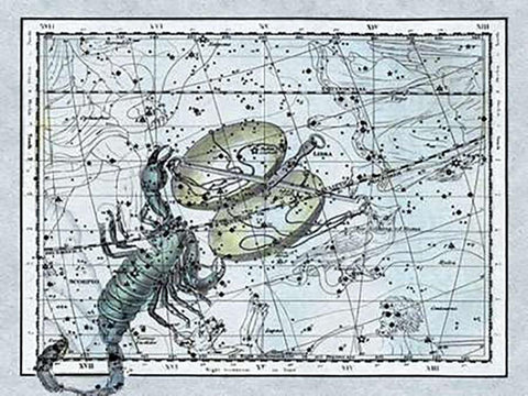 Maps of the Heavens: Libra - the Scales and The Scorpion Black Ornate Wood Framed Art Print with Double Matting by Jamieson, Alexander