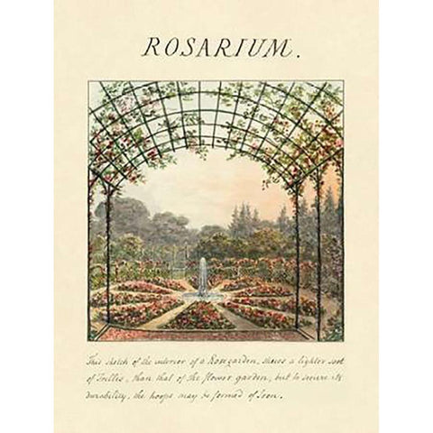 Rosarium, 1813 White Modern Wood Framed Art Print by Repton, Humphry