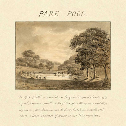 Park Pool, 1813 Black Modern Wood Framed Art Print by Repton, Humphry