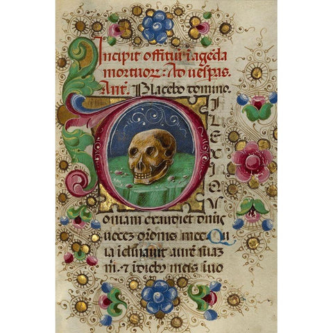 Initial D: A Skull in a Rocky Field Gold Ornate Wood Framed Art Print with Double Matting by Crivetti, Taddeo