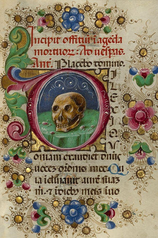 Initial D: A Skull in a Rocky Field Black Ornate Wood Framed Art Print with Double Matting by Crivetti, Taddeo