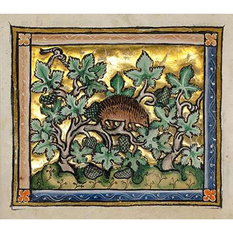 A Hedgehog (detail) Black Modern Wood Framed Art Print by Franco-Flemish 13th Century