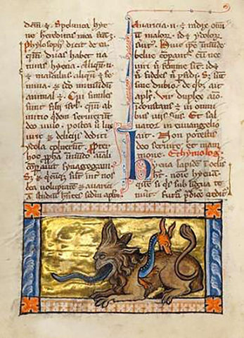 A Crocodile and a Hydrus Black Ornate Wood Framed Art Print with Double Matting by Franco-Flemish 13th Century