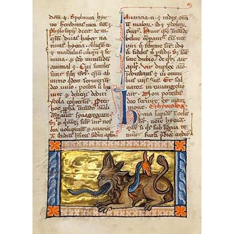 A Crocodile and a Hydrus Black Modern Wood Framed Art Print with Double Matting by Franco-Flemish 13th Century