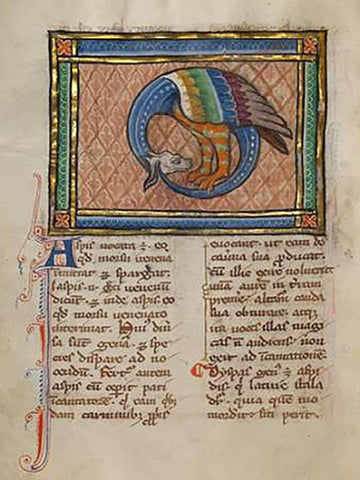 A Dragon-like Snake Black Ornate Wood Framed Art Print with Double Matting by Franco-Flemish 13th Century